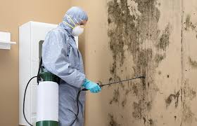 Best Residential Mold Inspection & Testing  in Shippensburg, PA